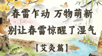 【二十四節(jié)氣灸】春雷驚醒濕氣！驚蟄艾灸3穴，疏肝祛濕養(yǎng)元氣！